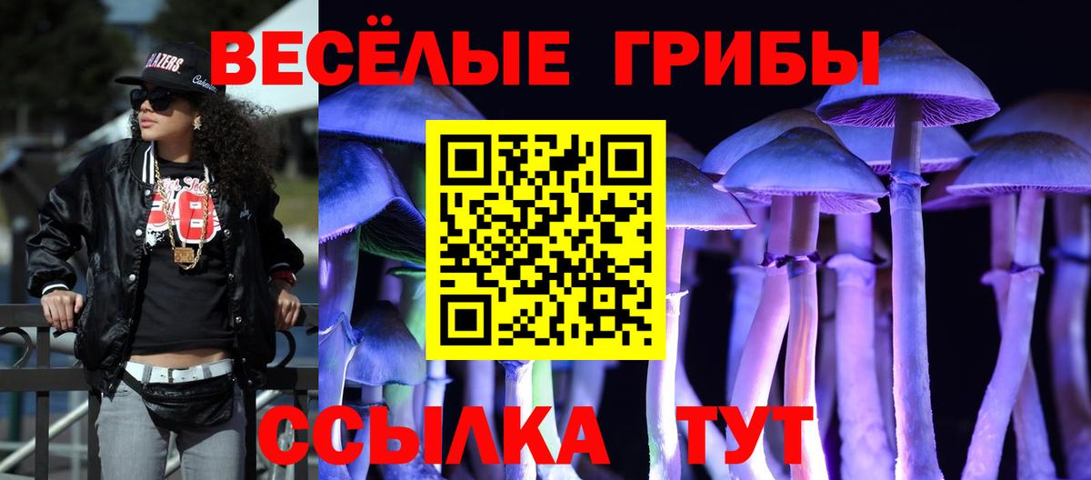 Энгельс  Галлюциногенные грибы Magic Shrooms  Вход с VPN 
